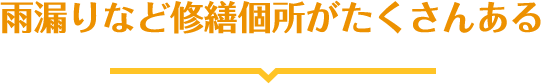 雨漏りなど修繕個所がたくさんある